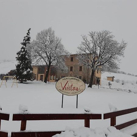 Agriturismo "Veritas" Bed & Wine Casaleggio Boiro Eksteriør billede