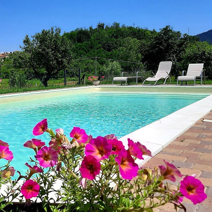 Agriturismo "Veritas" Bed & Wine Casaleggio Boiro Eksteriør billede