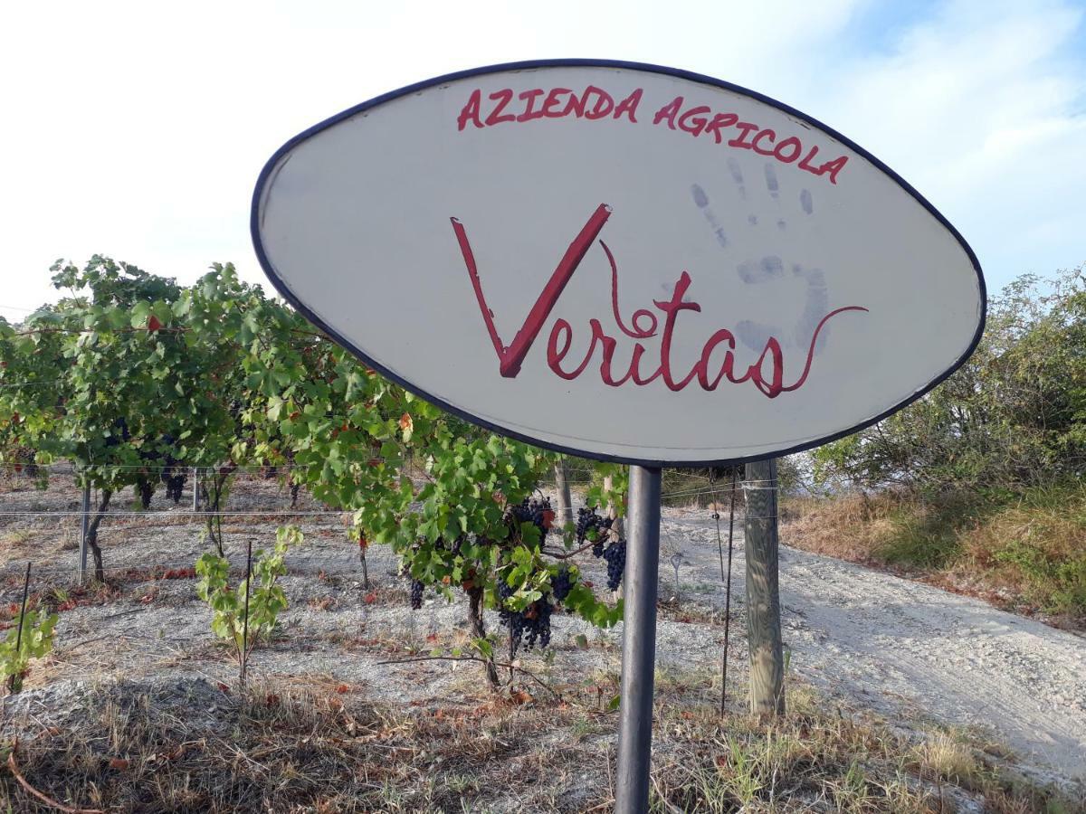 Agriturismo "Veritas" Bed & Wine Casaleggio Boiro Eksteriør billede